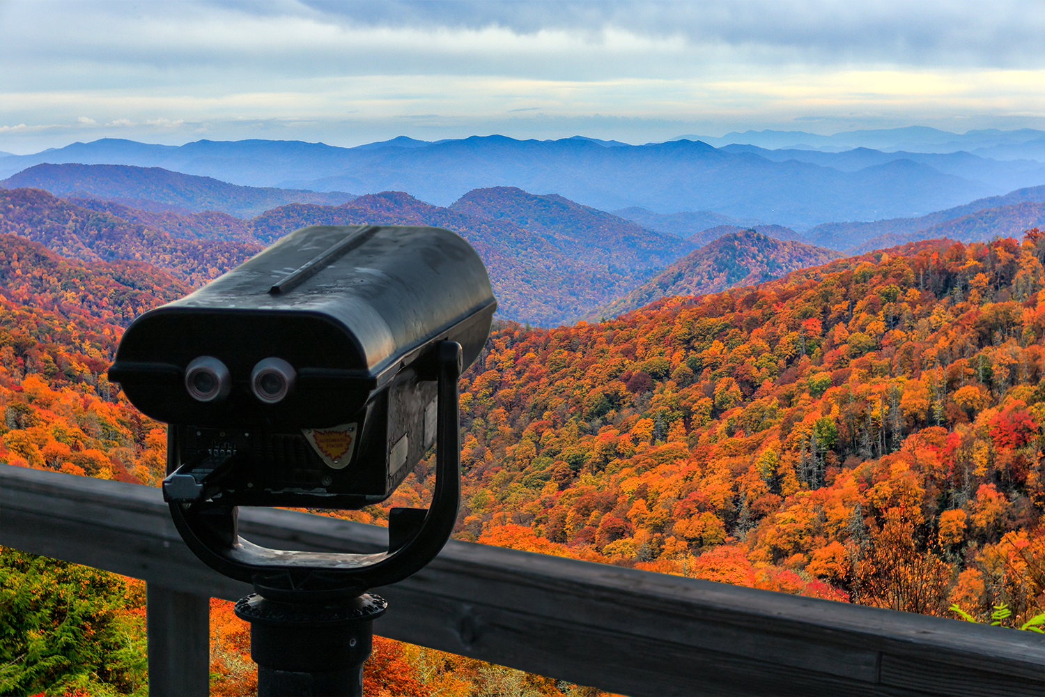 See the Golden Beauty of Fall through Tennessee's EnChroma Powered Viewfinders