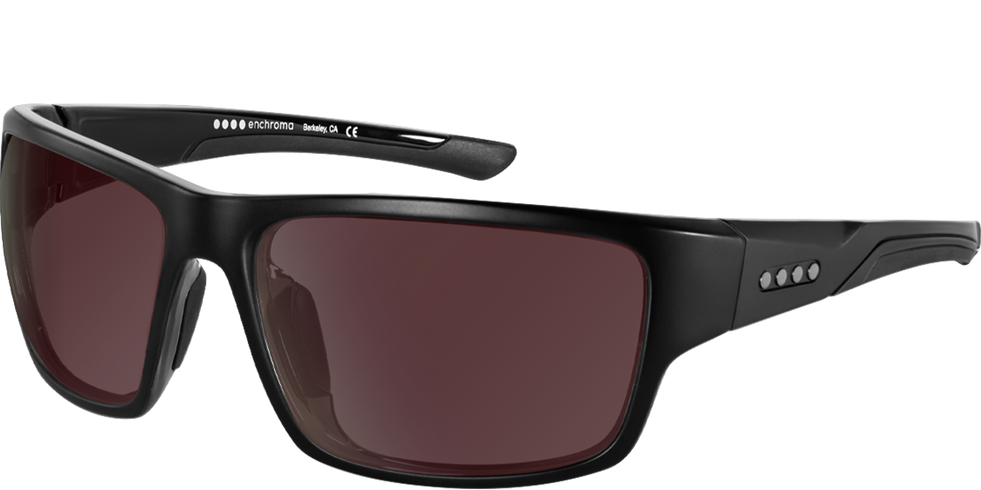 Modoc Black/Slate Polarized Protan Plano (BOGOHO)