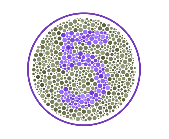 Enchroma: Color Blindness Test | Enchroma