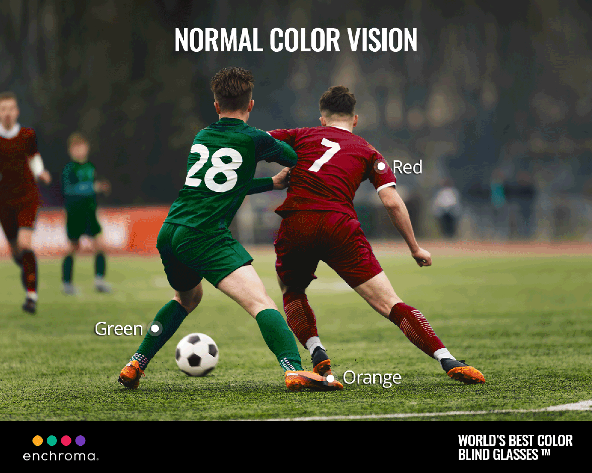 Why Sports Are Better with EnChroma Color Blind Glasses