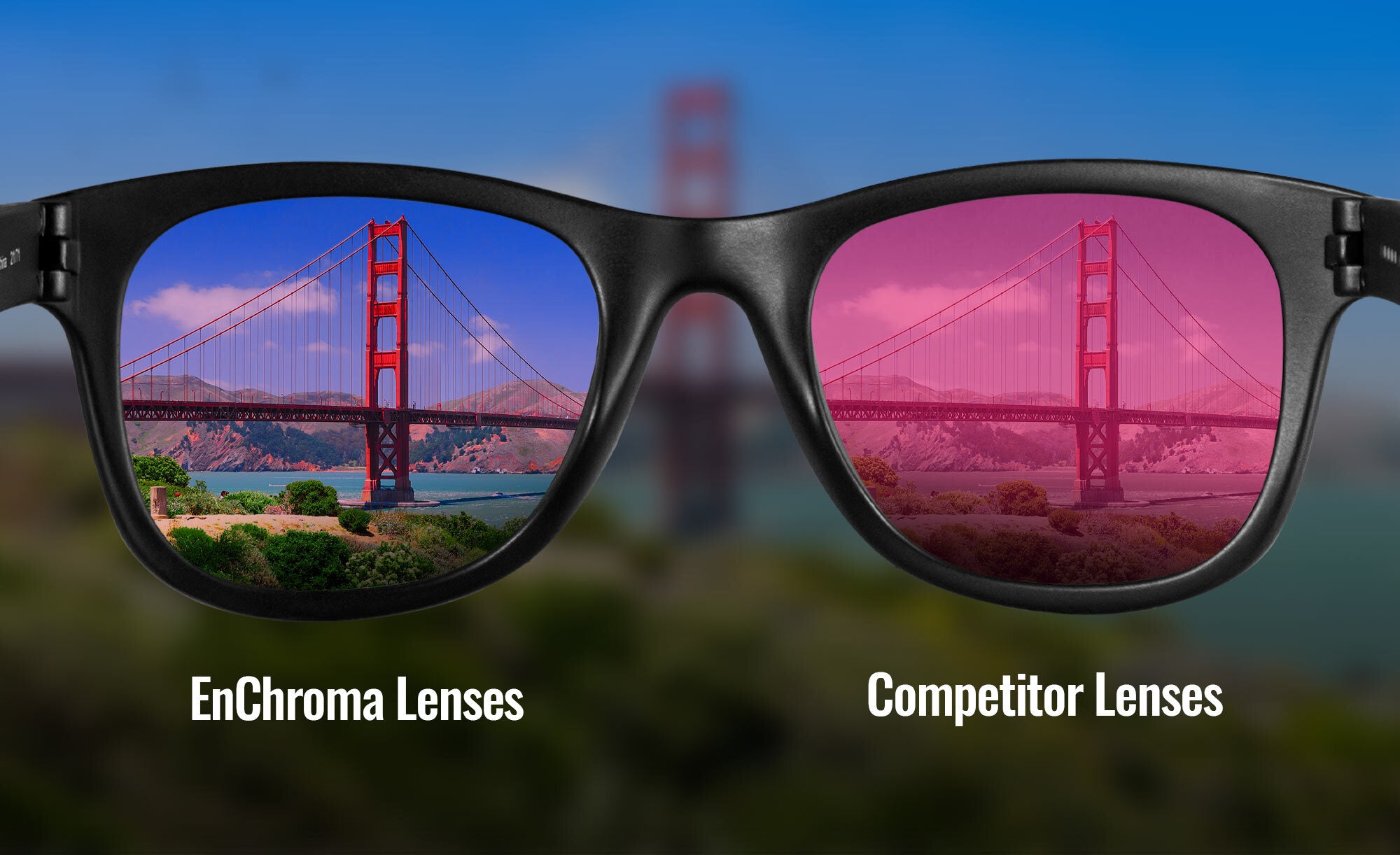 What Makes EnChroma Glasses Different from the Competition?