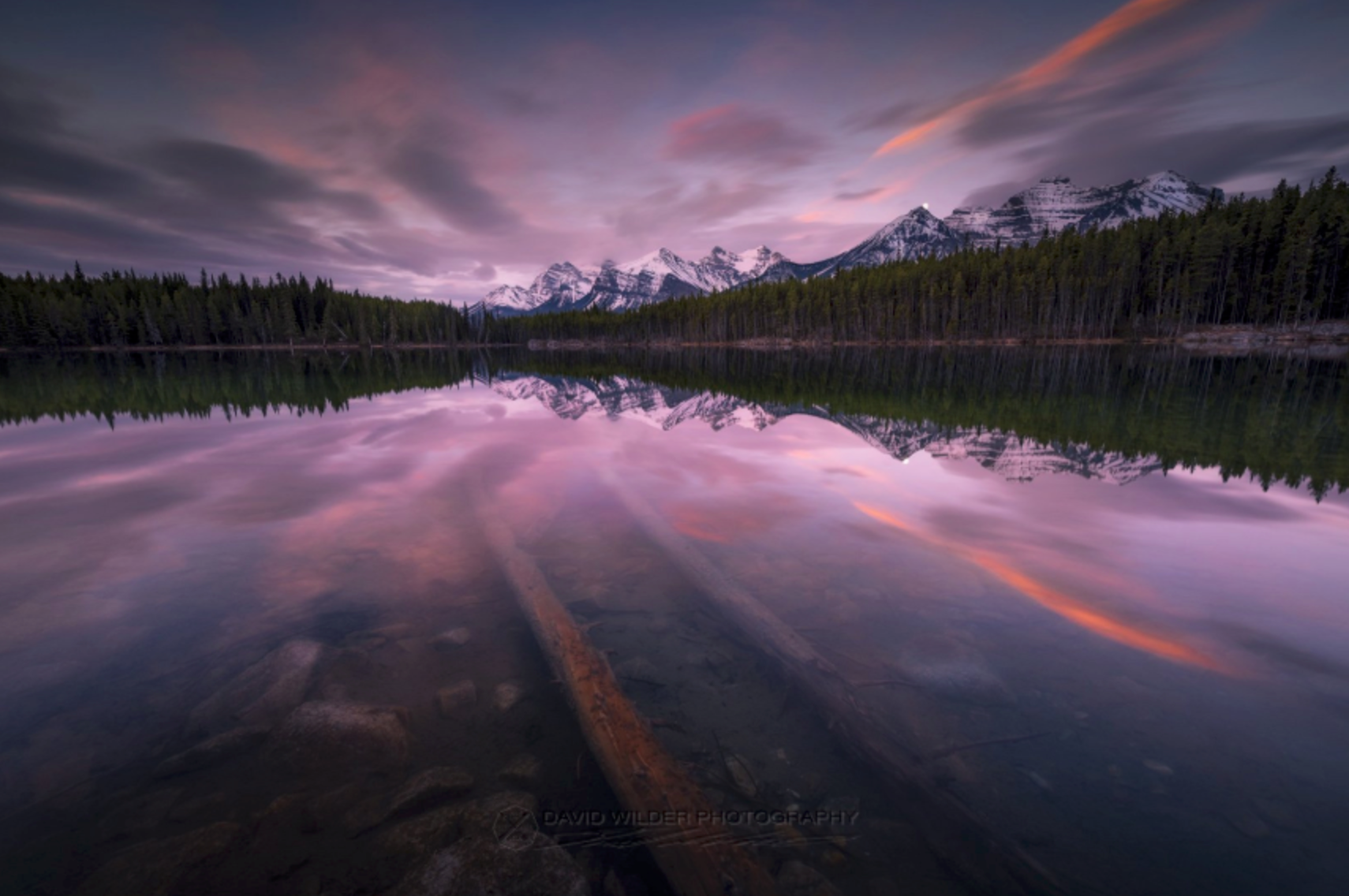Color Blind Photography | Colorblindness in Nature
