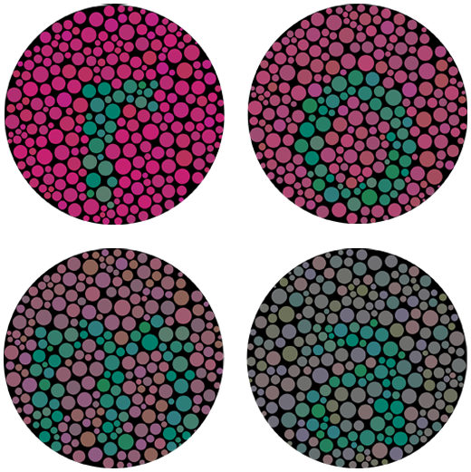 EnChroma Protan test plates