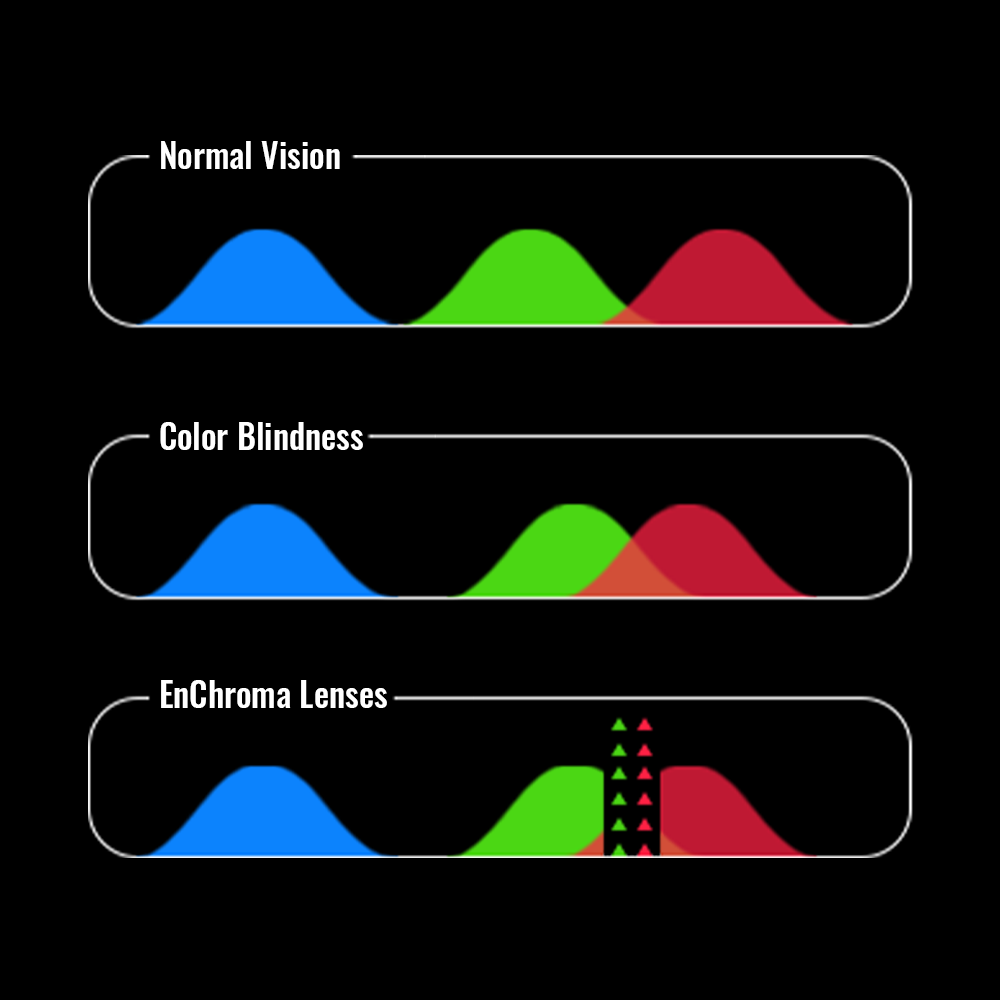 EnChroma Color Blind Glasses: How Do They Work?